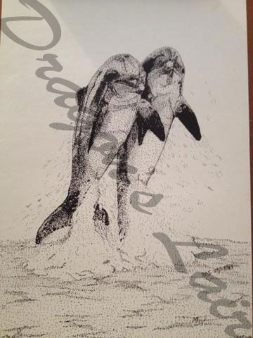 Pen and ink of leaping bottlenose dophins 8 1/2x14 $10.